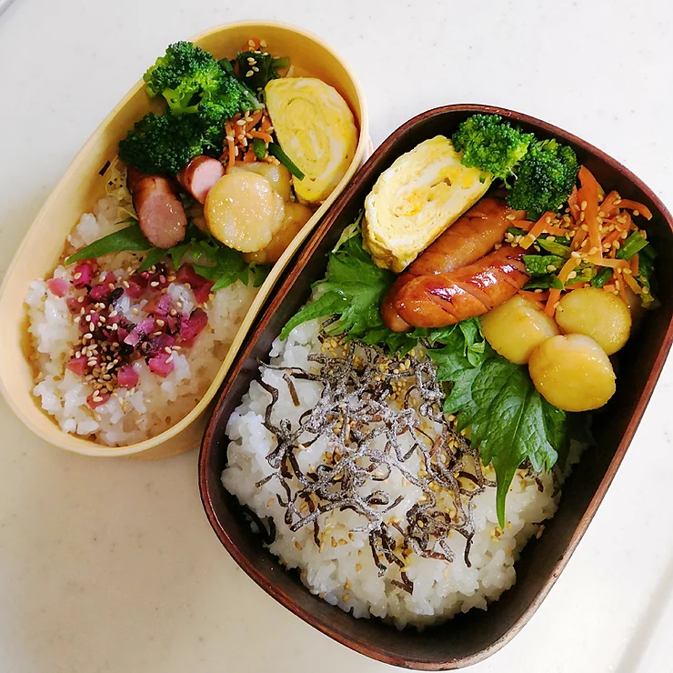 今日のお弁当 1/19