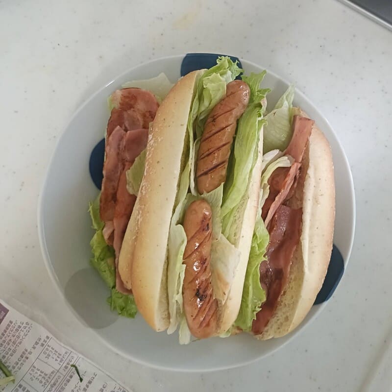 今日のお弁当8/22